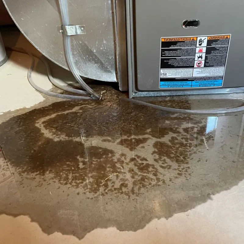 Pipe Burst and Leak Restoration in Wilkinsburg, PA
