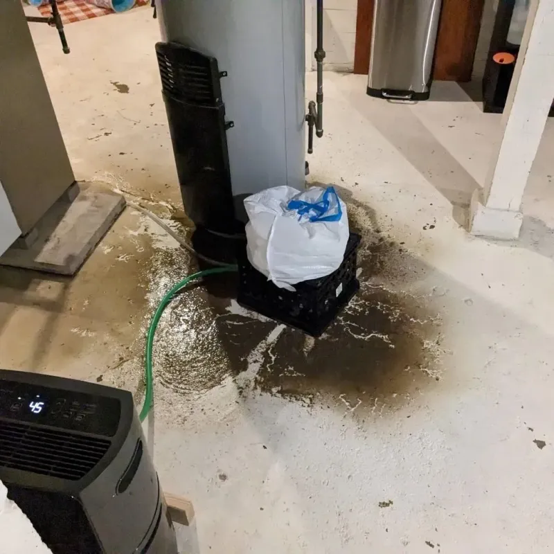 Sewage Backup Cleanup Service in Wilkinsburg, PA